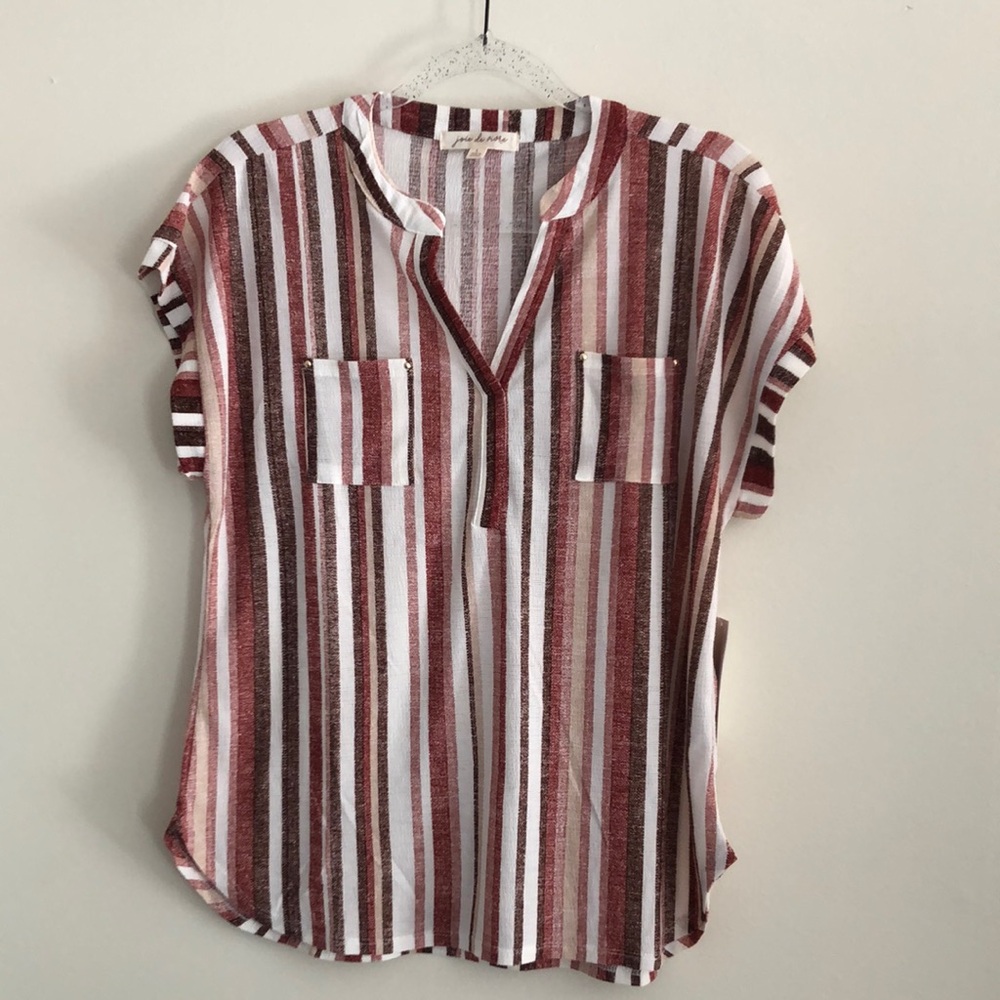 Striped Short-Sleeve V-Neck Blouse in Burgundy and White - Picture 1 of 11